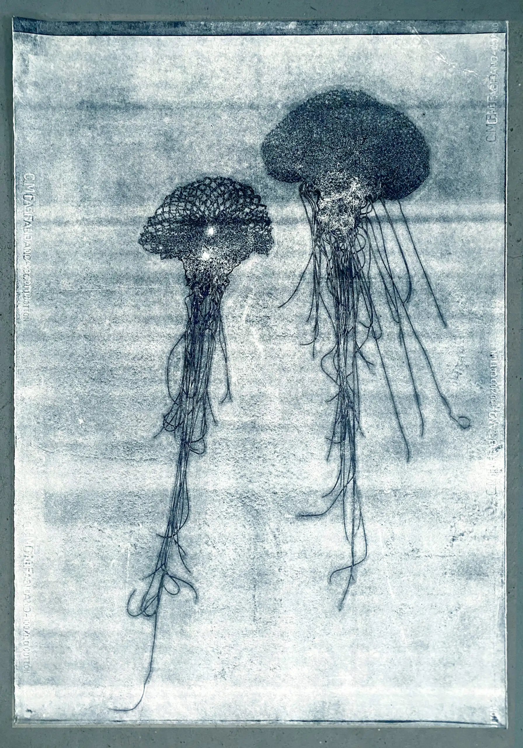 OceanGhosts serie1 no4 SOLGT statens