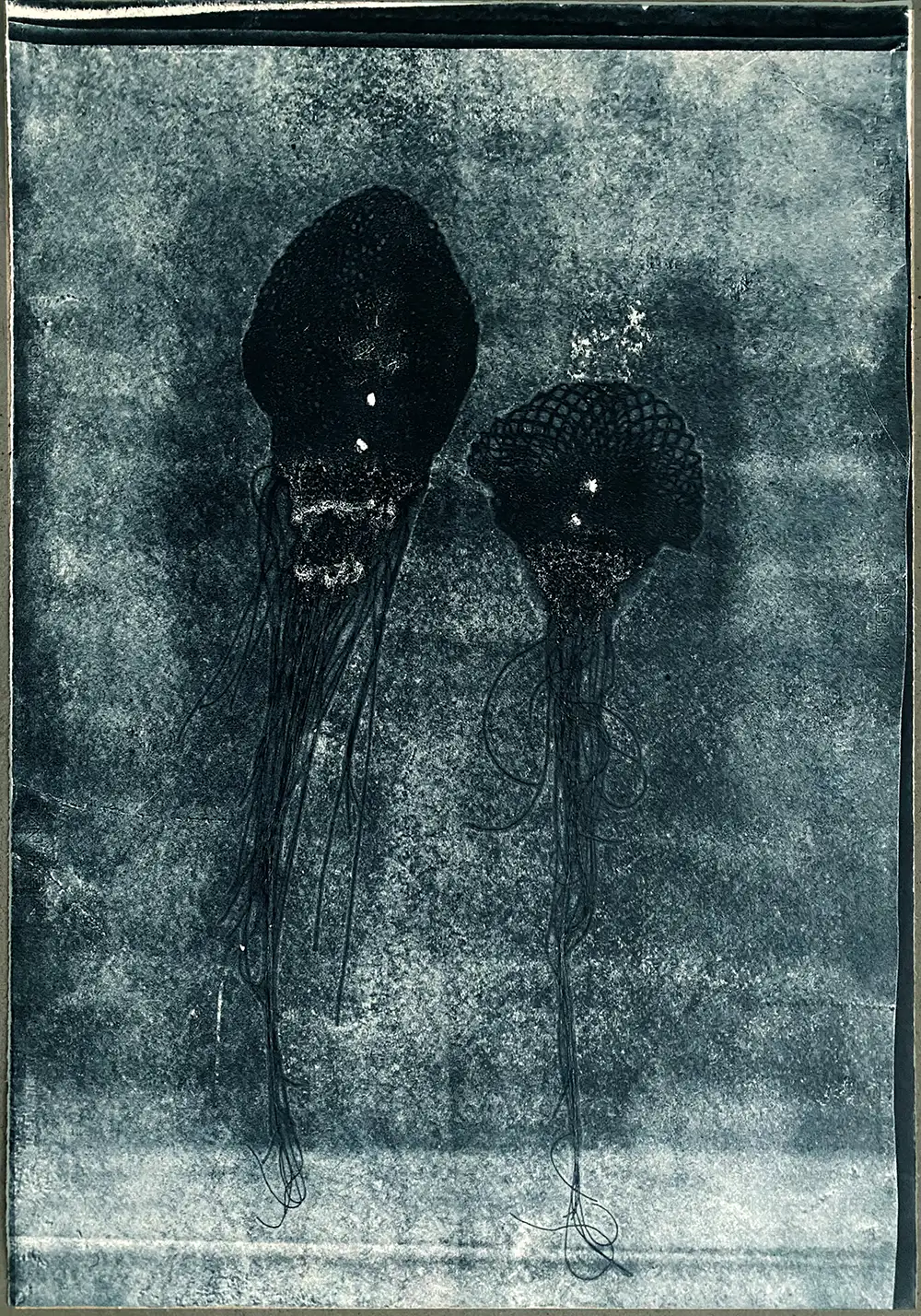 OceanGhosts serie1 no5 SOLGT statens lille